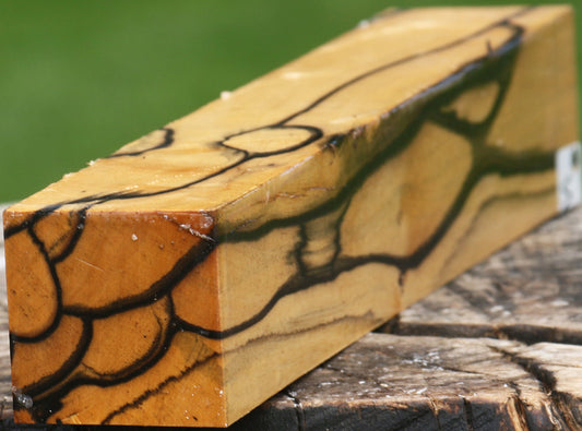 Extra Fancy Black & White Ebony Turning Square