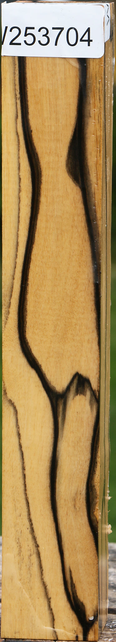 Extra Fancy Black & White Ebony Turning Square