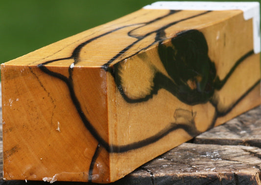 Extra Fancy Black & White Ebony Turning Square