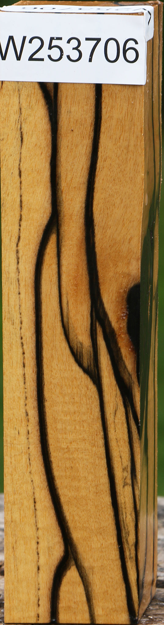 Extra Fancy Black & White Ebony Turning Square