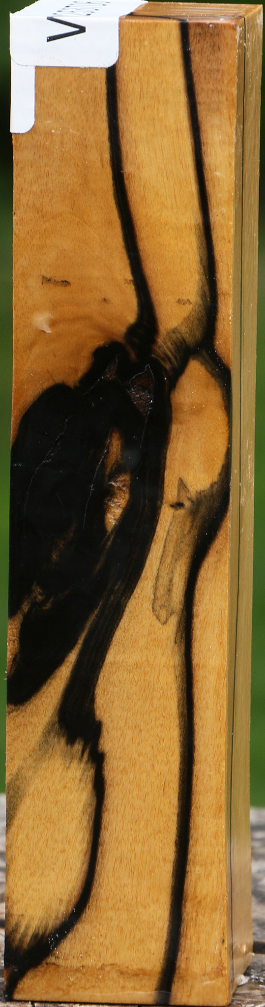 Extra Fancy Black & White Ebony Turning Square