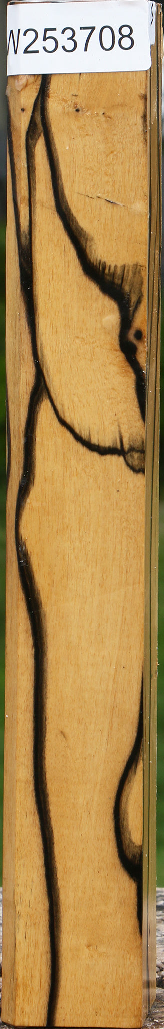 Figured Black & White Ebony Turning Square