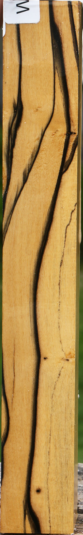 Figured Black & White Ebony Turning Square