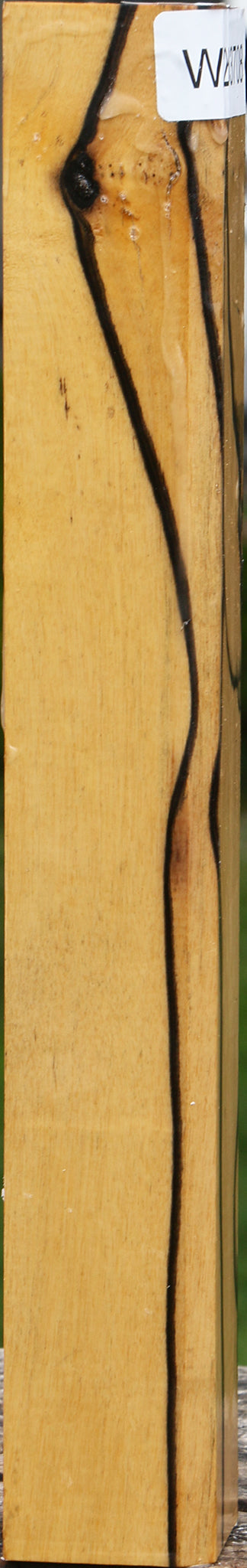 Figured Black & White Ebony Turning Square