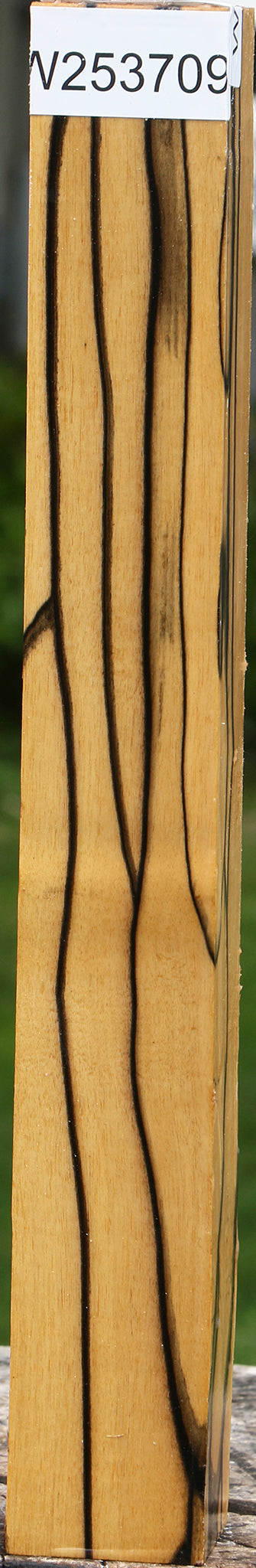 Extra Fancy Black & White Ebony Turning Square