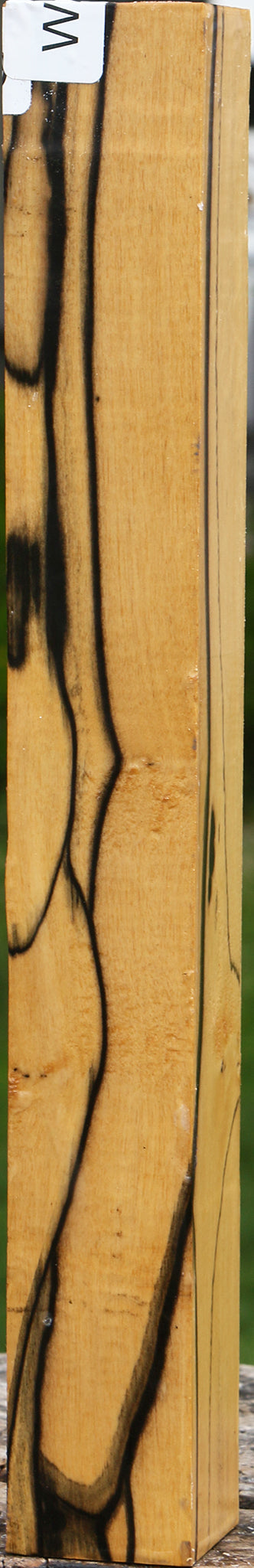Extra Fancy Black & White Ebony Turning Square