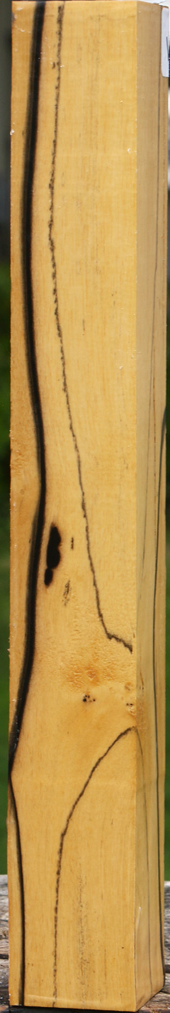 Extra Fancy Black & White Ebony Turning Square