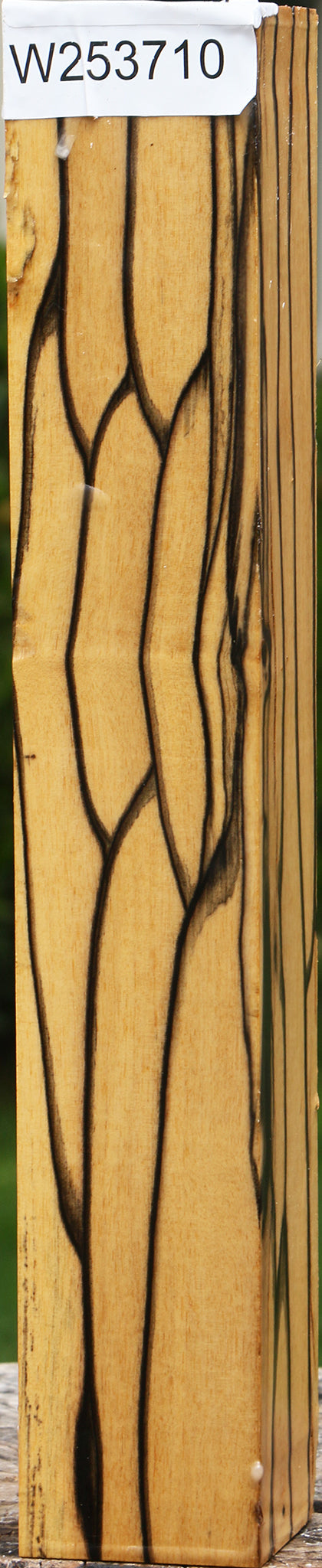 Black & White Ebony Turning Square