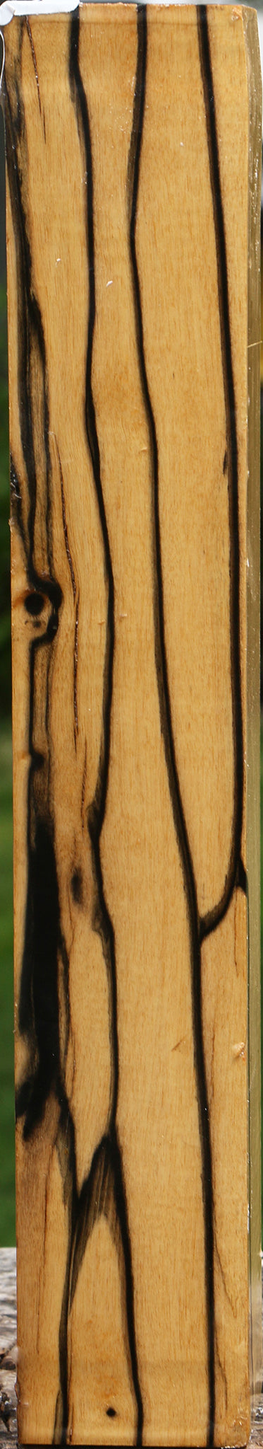Black & White Ebony Turning Square