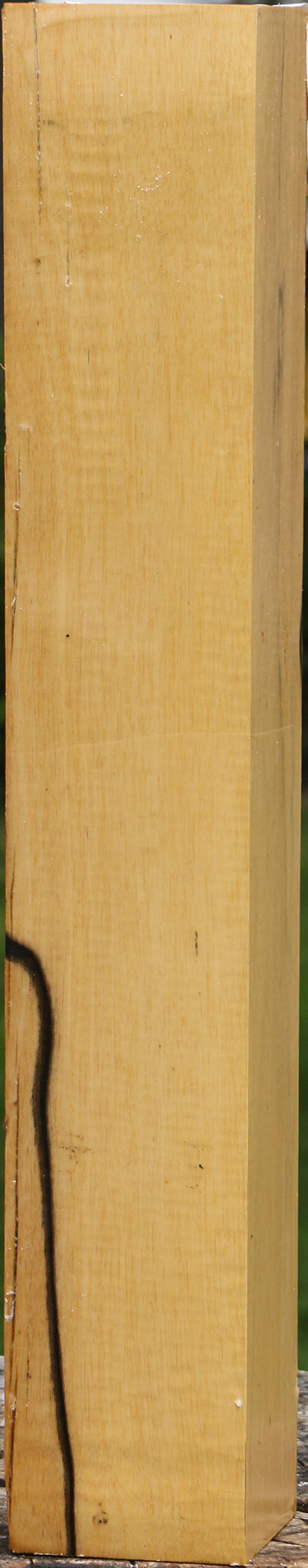 Black & White Ebony Turning Square