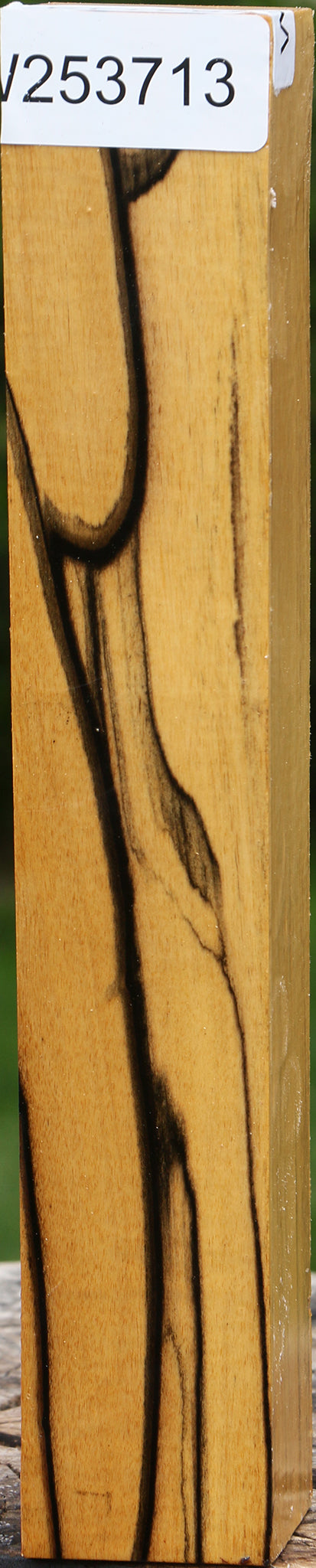 Black & White Ebony Turning Square