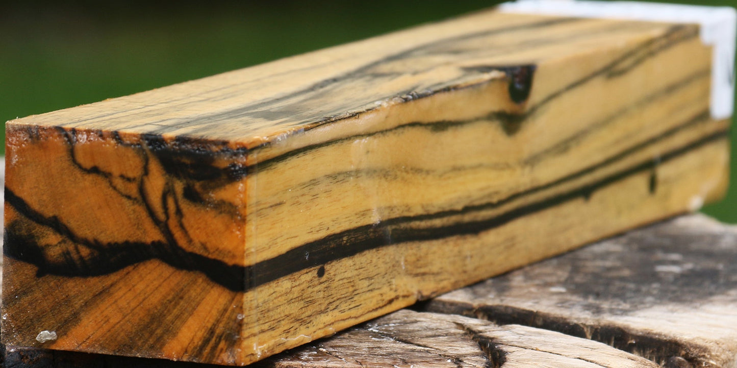 Black & White Ebony Turning Blank