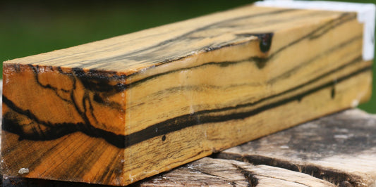 Black & White Ebony Turning Blank