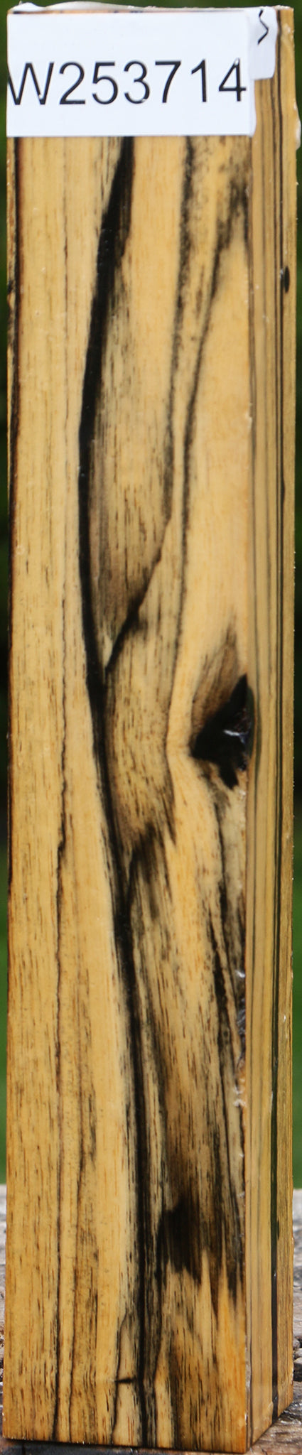Black & White Ebony Turning Blank