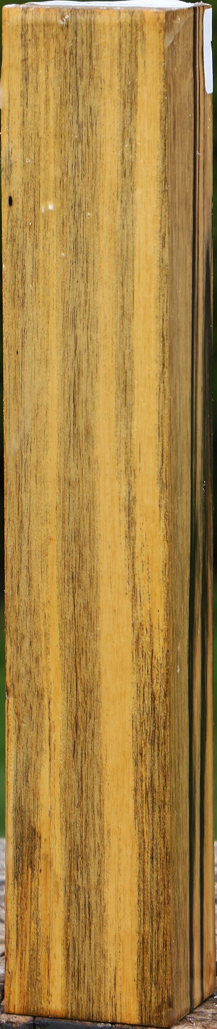 Black & White Ebony Turning Blank