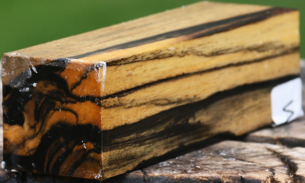 Extra Fancy Black & White Ebony Turning Square