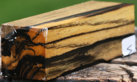 Extra Fancy Black & White Ebony Turning Square
