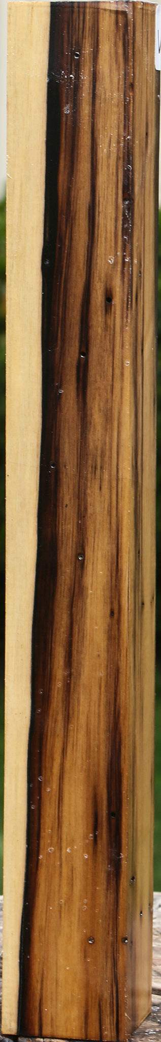 Black & White Ebony Turning Square