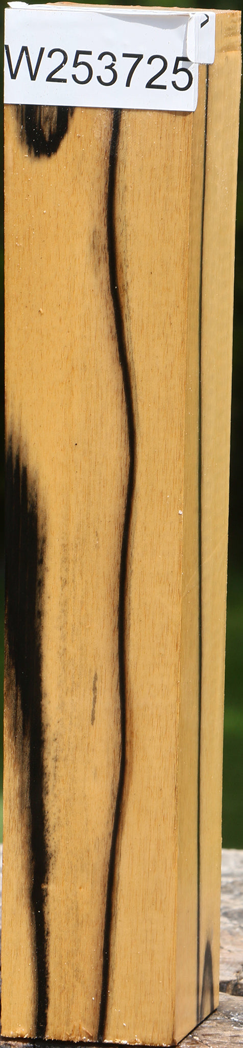 Figured Black & White Ebony Turning Square