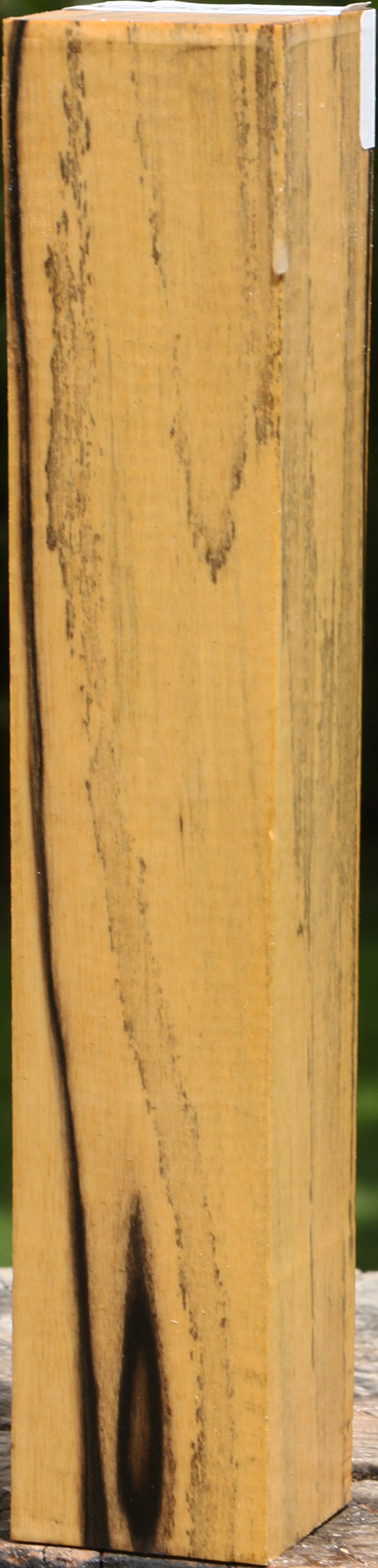 Figured Black & White Ebony Turning Square