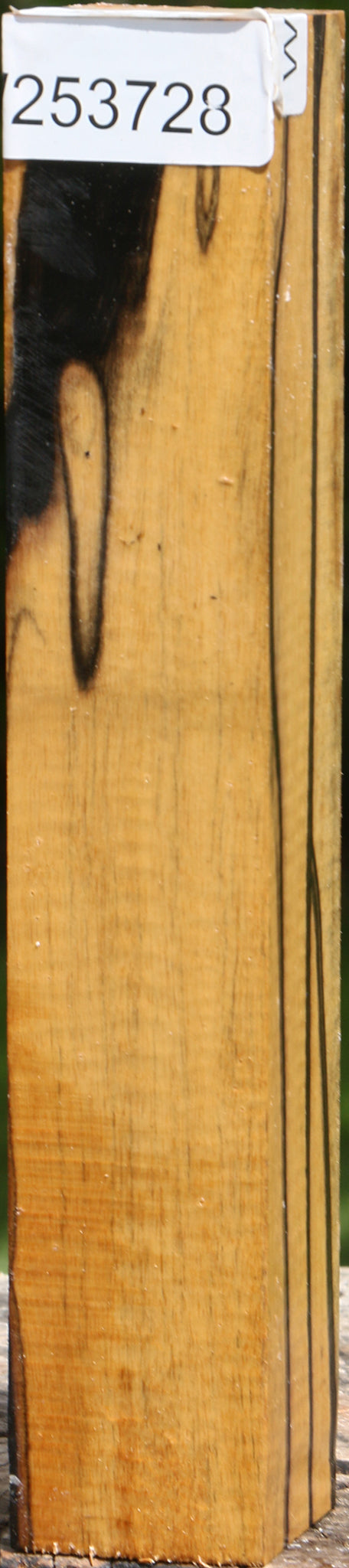 Figured Black & White Ebony Turning Square