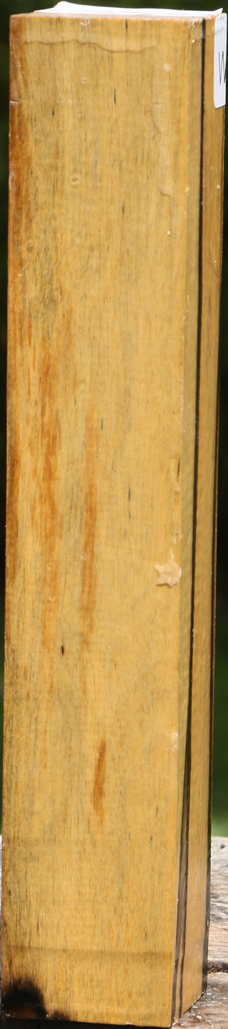Figured Black & White Ebony Turning Square