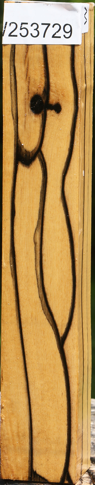 Extra Fancy Black & White Ebony Turning Square