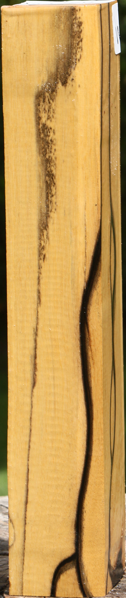 Extra Fancy Black & White Ebony Turning Square