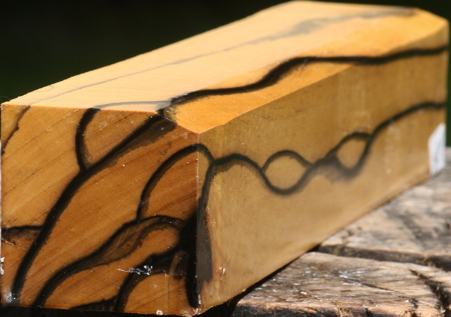 Extra Fancy Black & White Ebony Turning Square