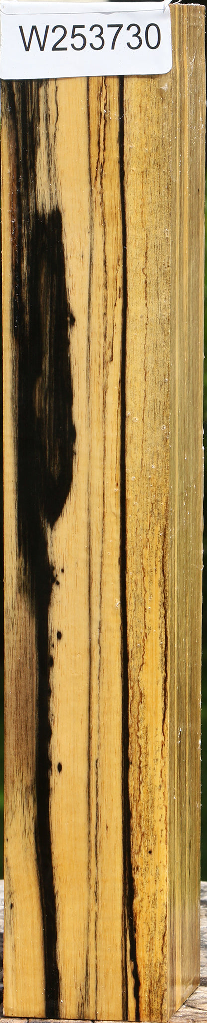 Figured Black & White Ebony Turning Square