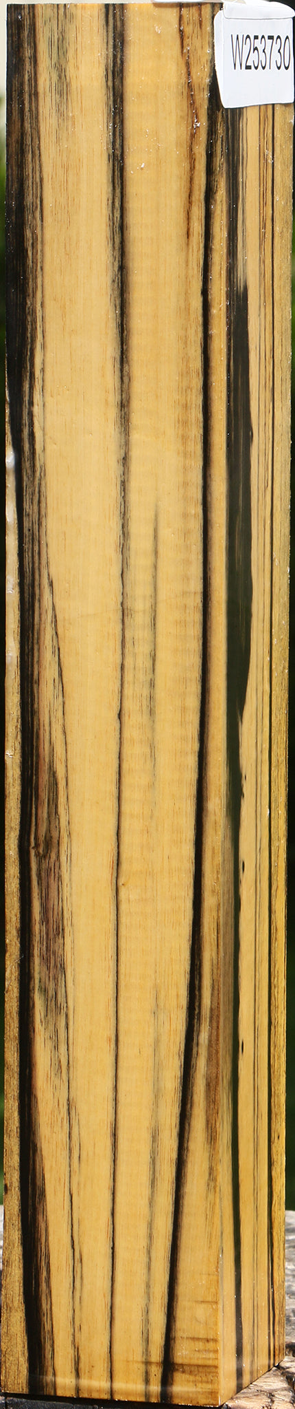 Figured Black & White Ebony Turning Square