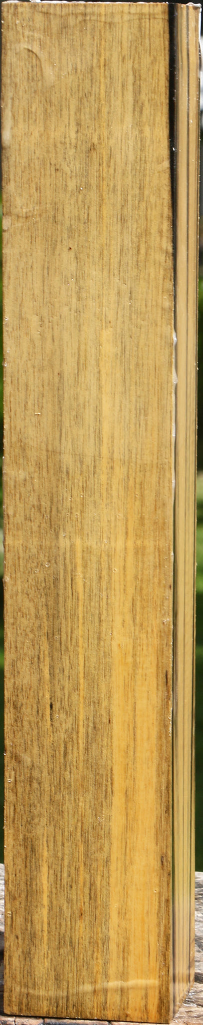 Figured Black & White Ebony Turning Square