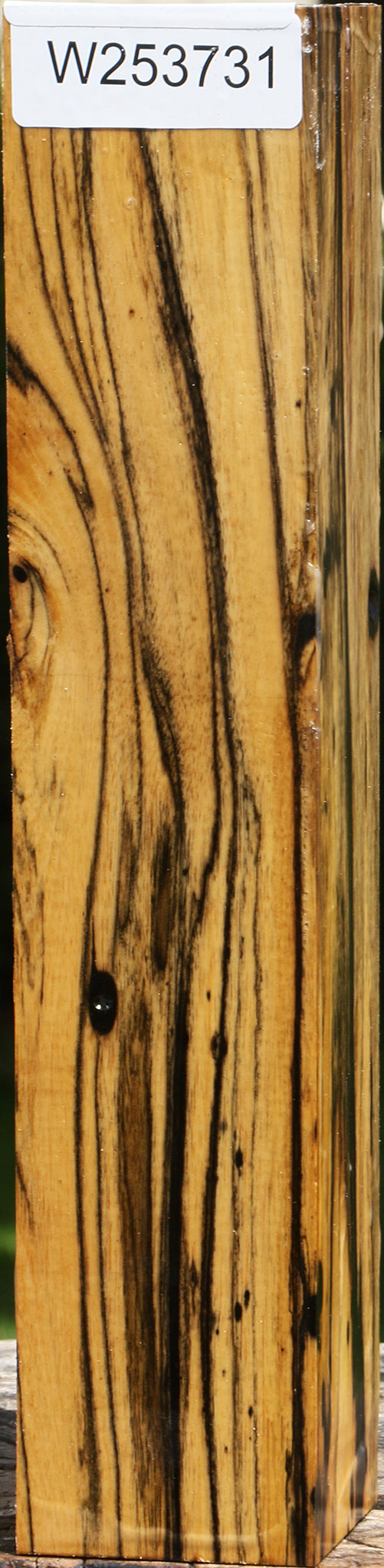 Extra Fancy Black & White Ebony Peppermill