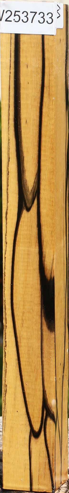 Extra Fancy Black & White Ebony Turning Square