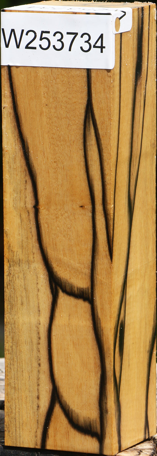 Extra Fancy Black & White Ebony Turning Square