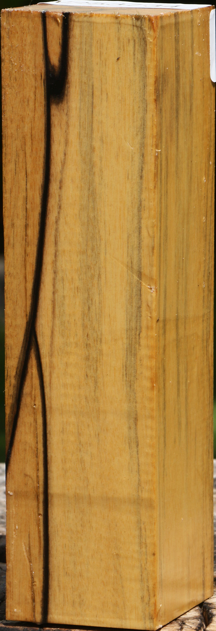 Extra Fancy Black & White Ebony Turning Square