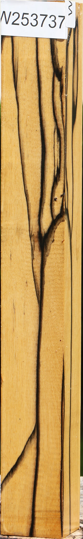 Figured Black & White Ebony Turning Square