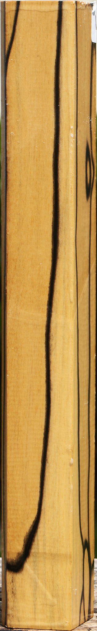 Figured Black & White Ebony Turning Square