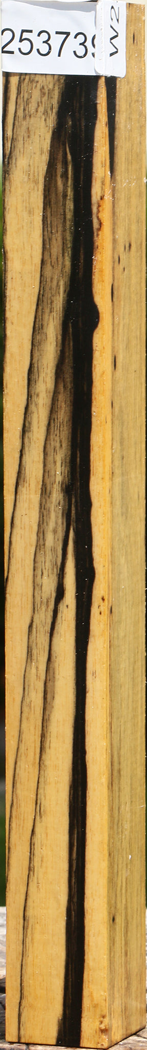 Extra Fancy Black & White Ebony Turning Square