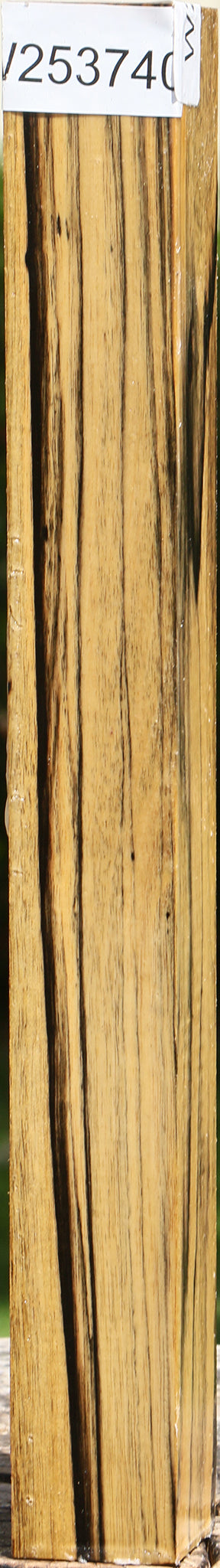 Figured Black & White Ebony Turning Square