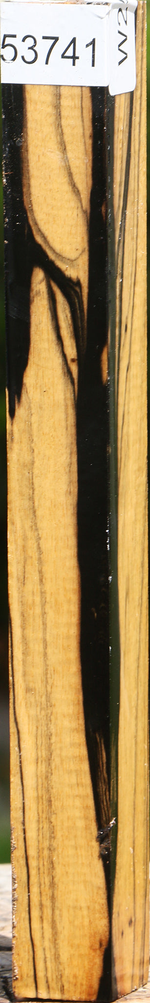 Figured Black & White Ebony Turning Square