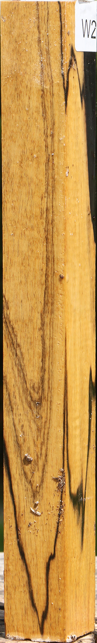 Figured Black & White Ebony Turning Square