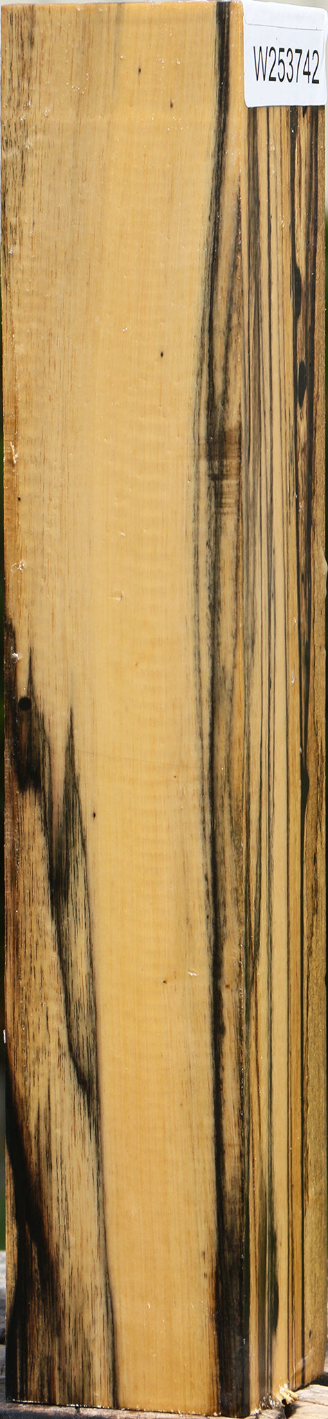 Extra Fancy Black & White Ebony Peppermill