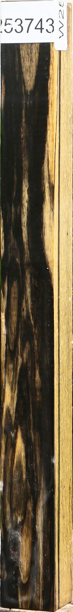 Figured Black & White Ebony Turning Square