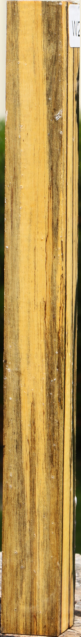 Figured Black & White Ebony Turning Square