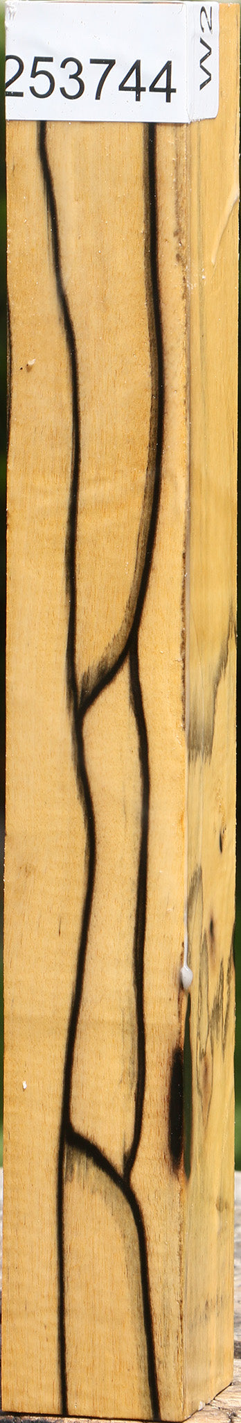Figured Black & White Ebony Turning Square