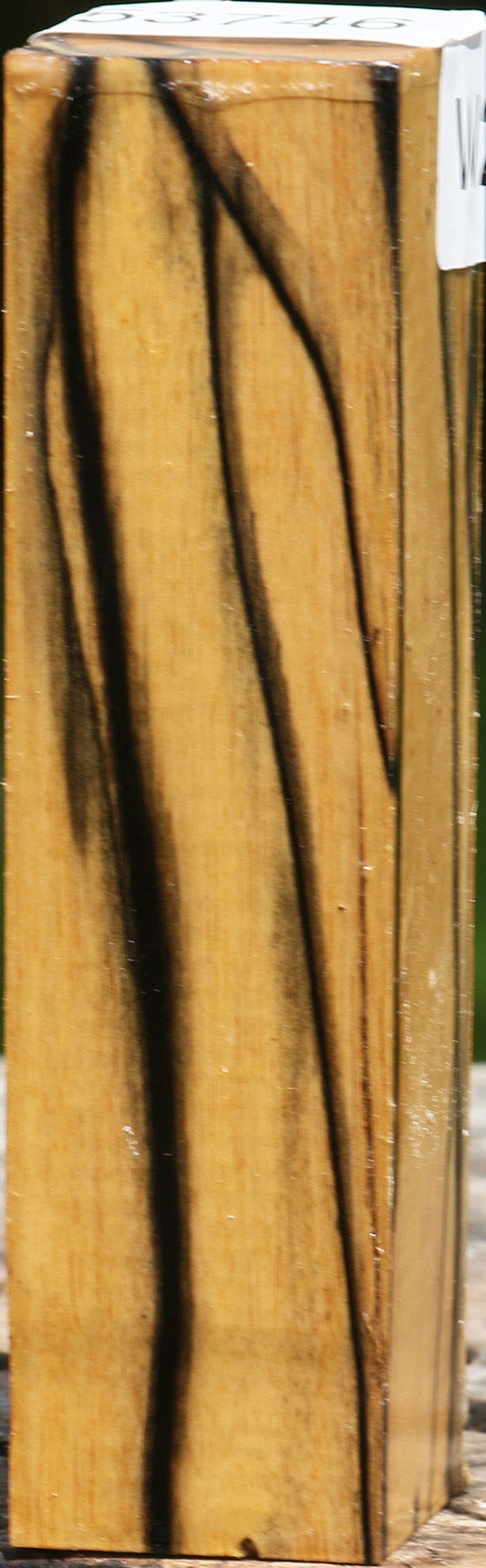 Extra Fancy Black & White Ebony Turning Square