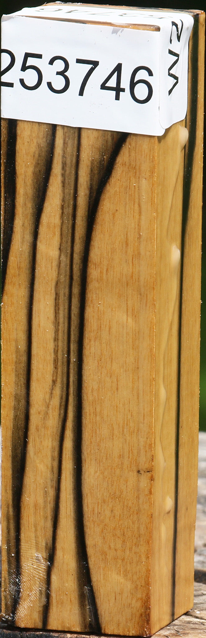 Extra Fancy Black & White Ebony Turning Square