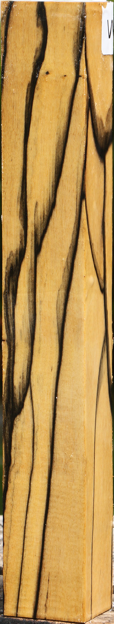 Extra Fancy Black & White Ebony Turning Blank