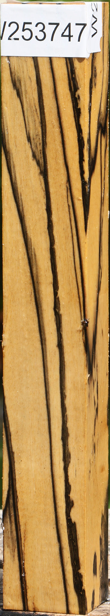 Extra Fancy Black & White Ebony Turning Blank
